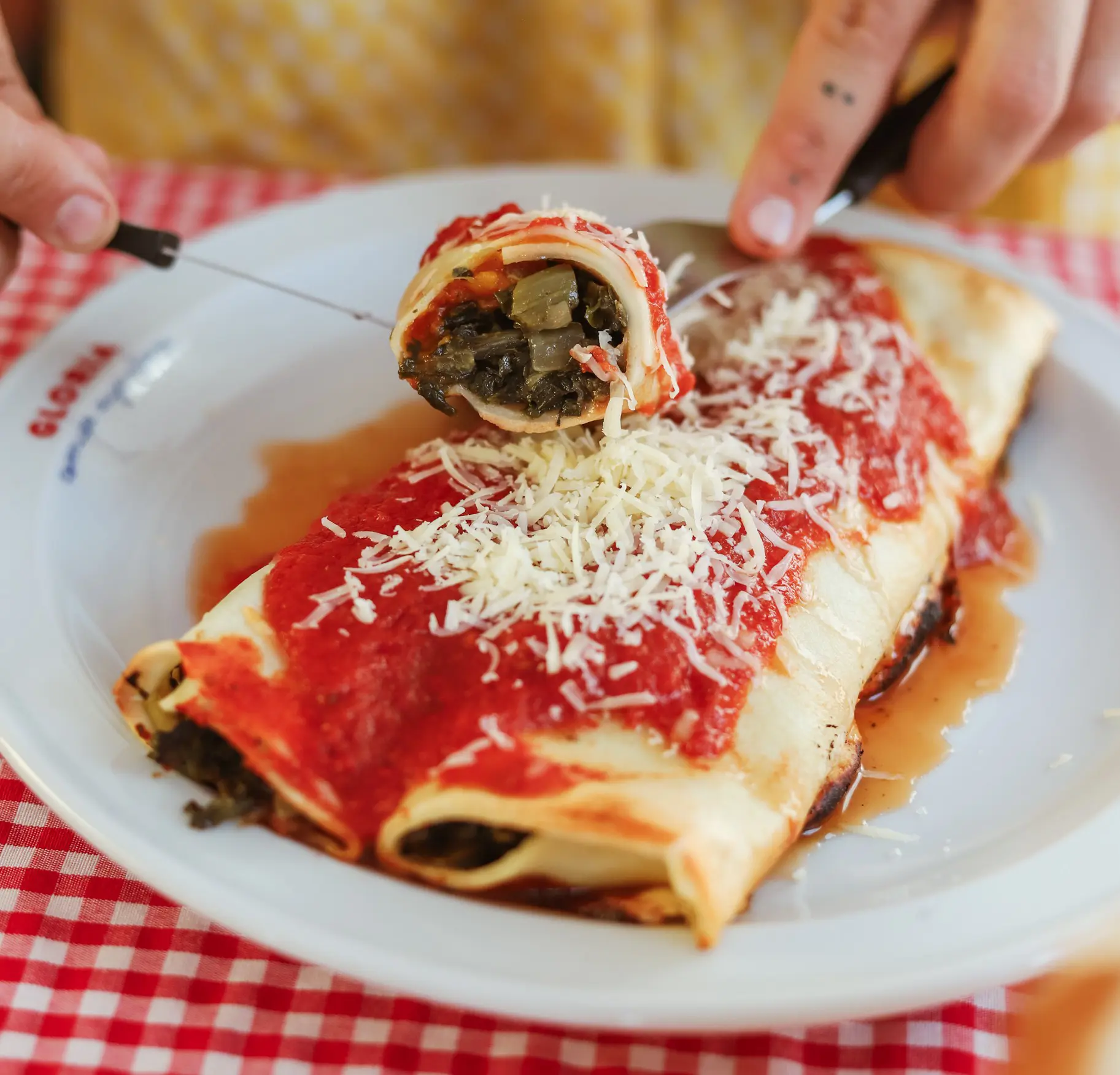 CANELONES DE VERDURA