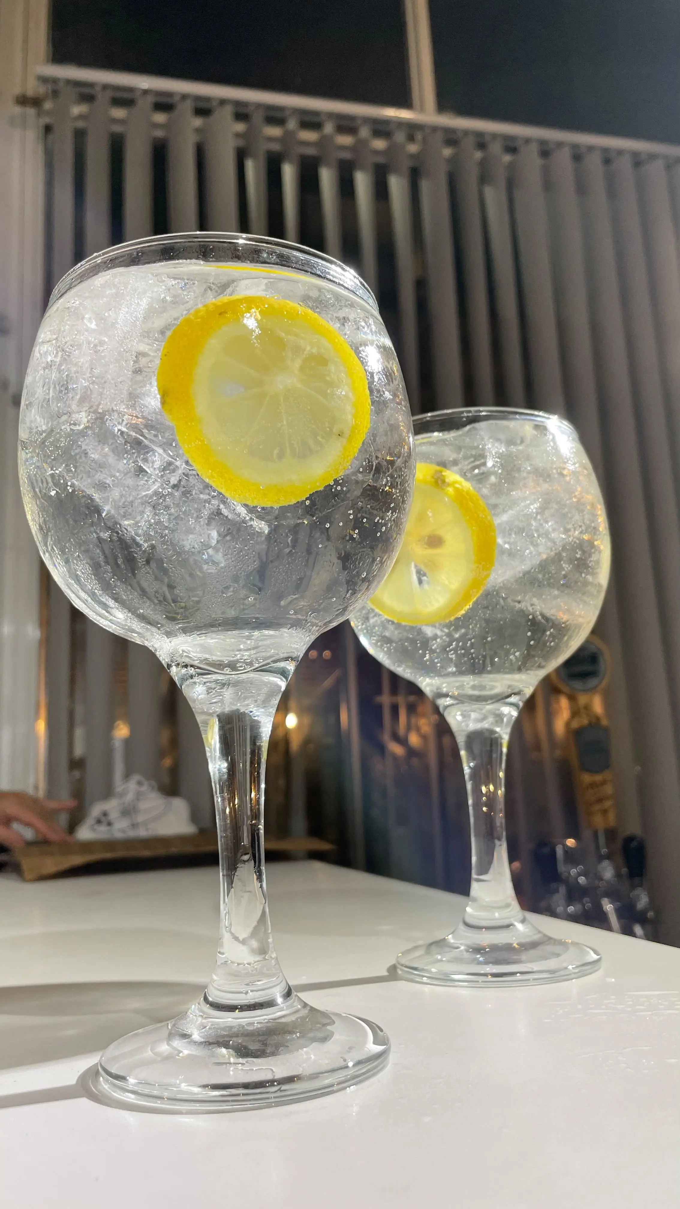 Gin Tonic Gordon's