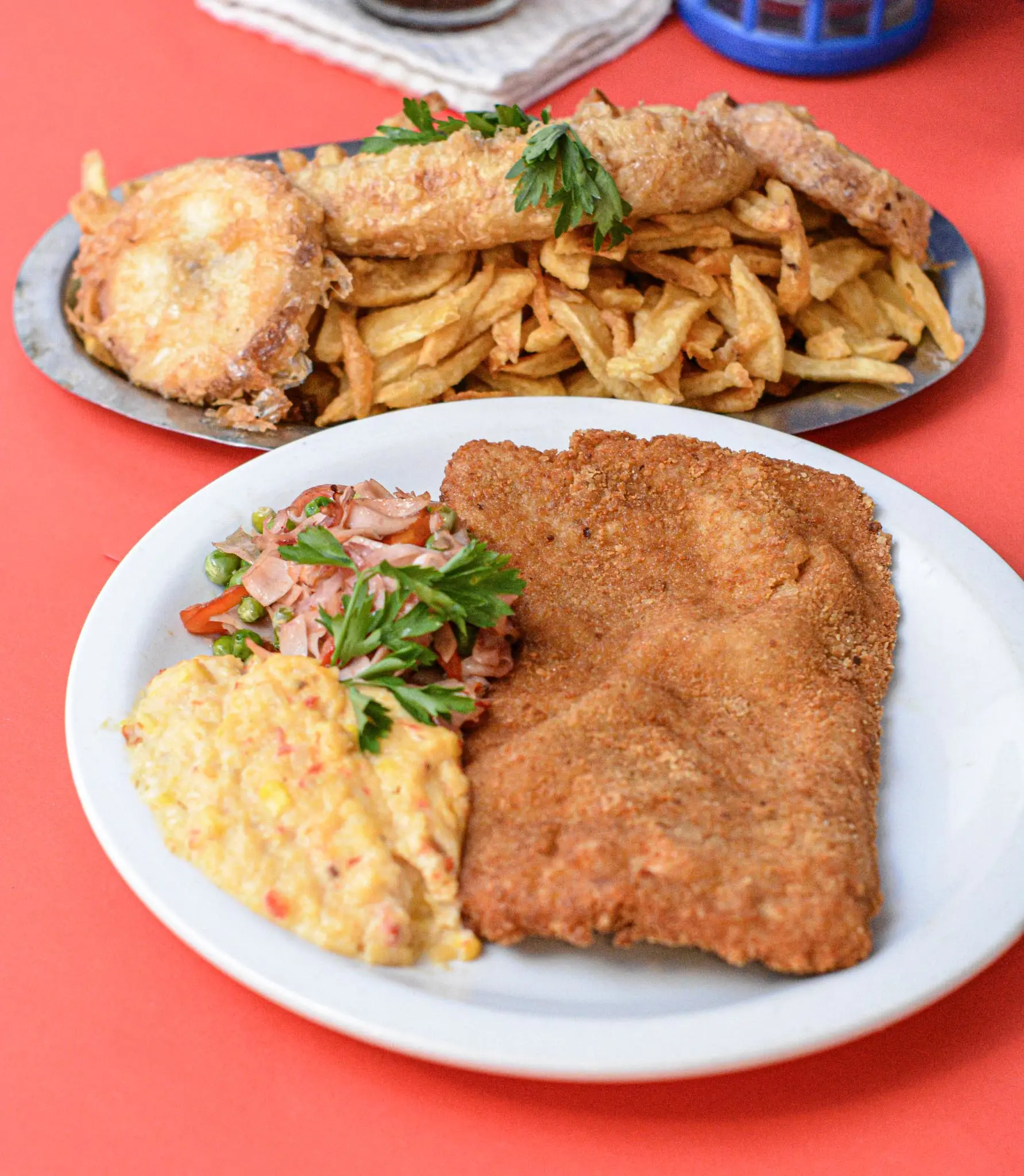 Suprema maryland