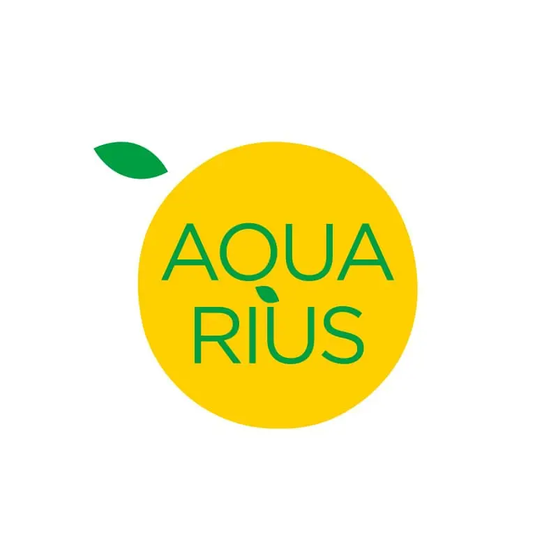 Agua saborizada