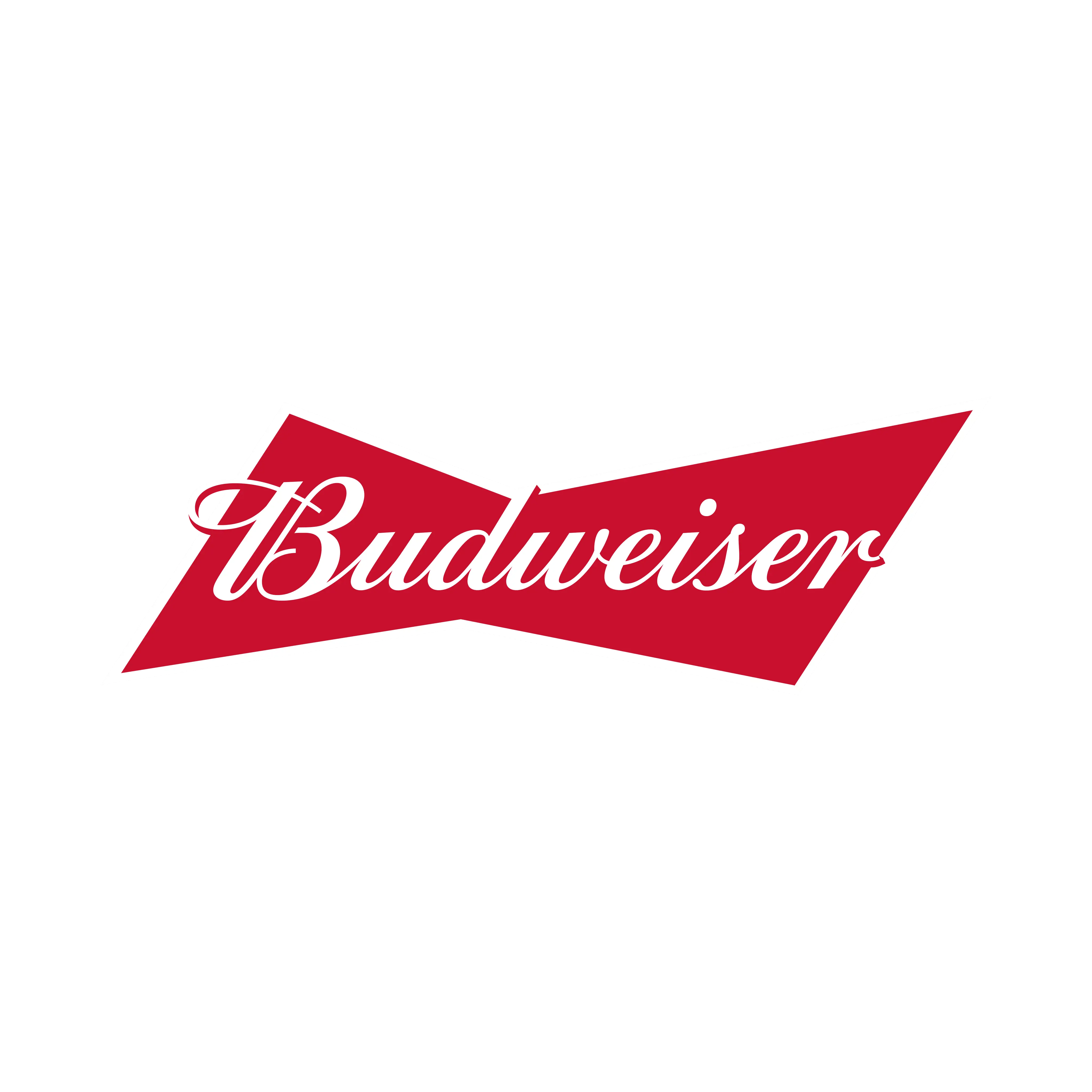 BUDWEISER - PINTA