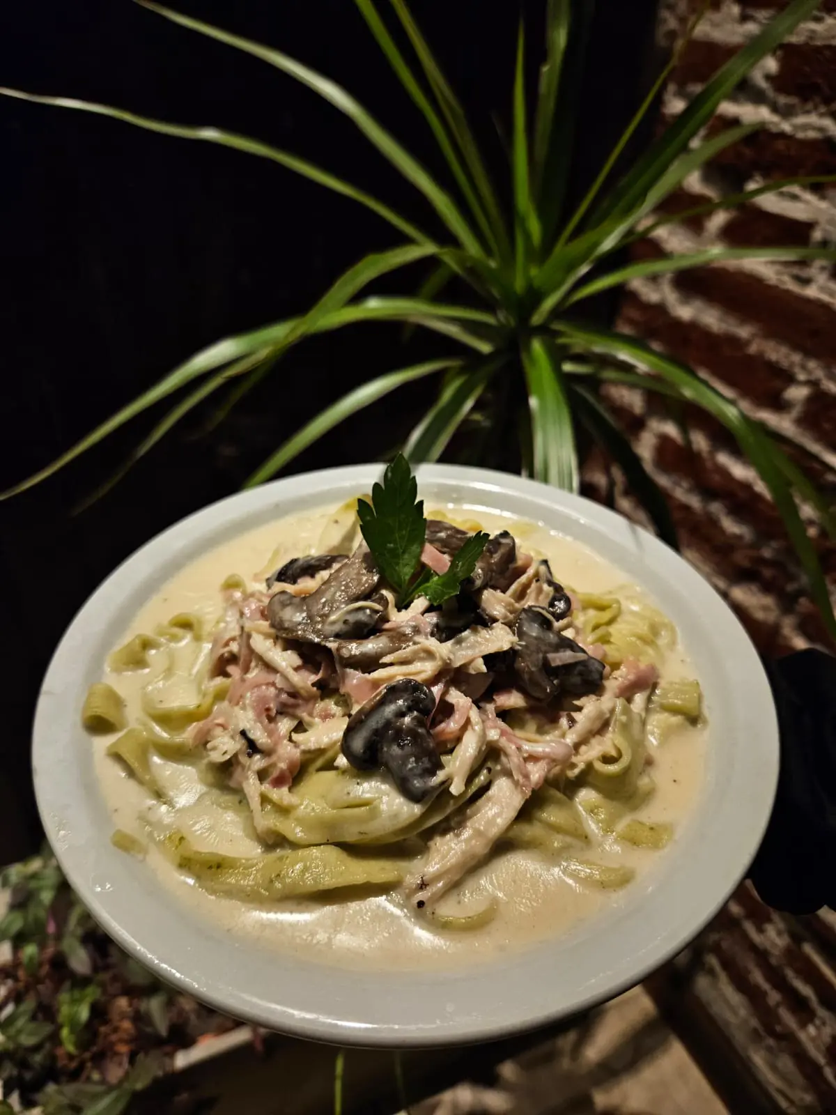 tallarines caseros  con salsa parissiene