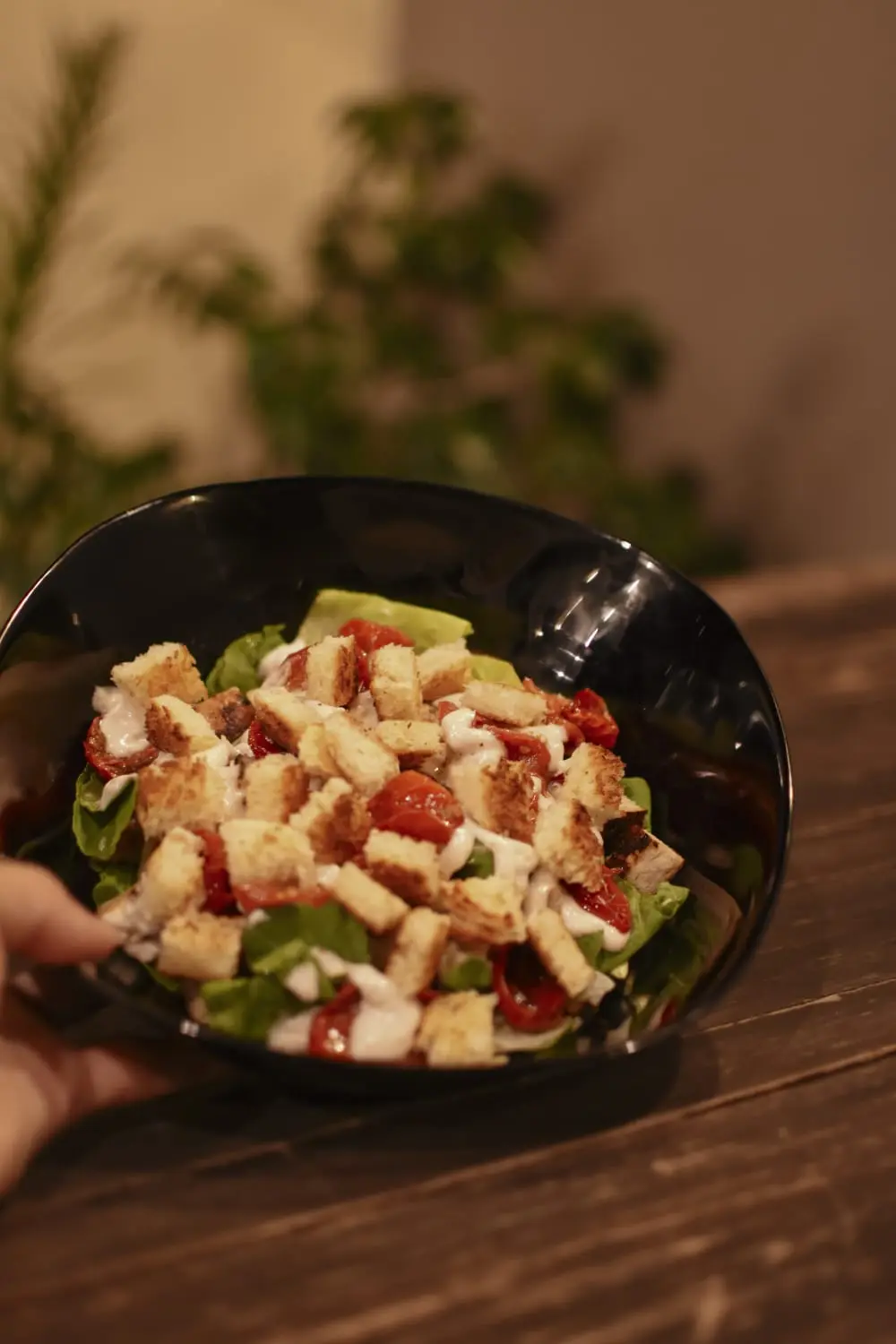 Ensaladas