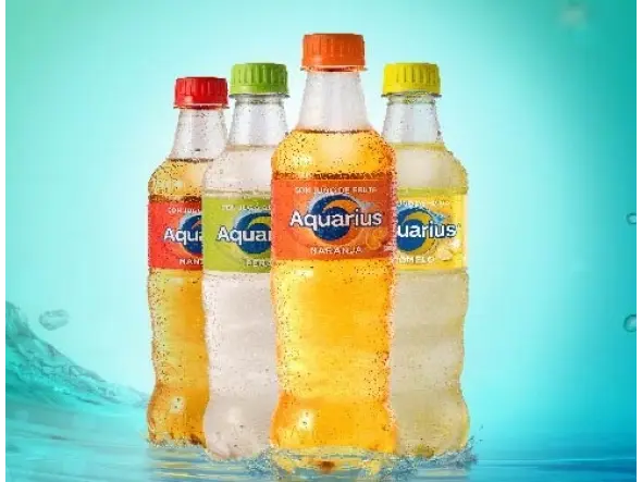 - Agua Saborizada (500cc.)